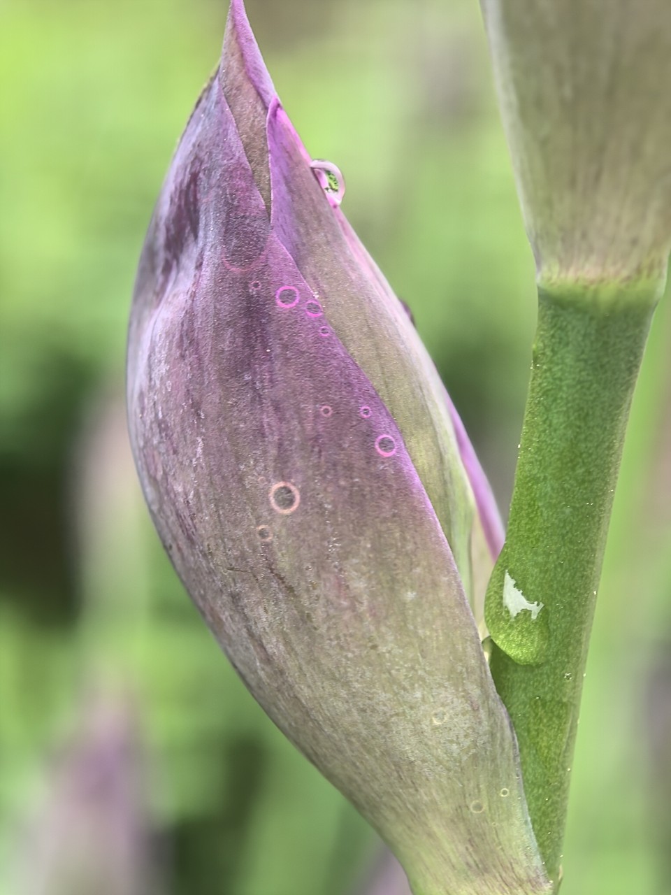 Kamenka в LOOKY — фото 4