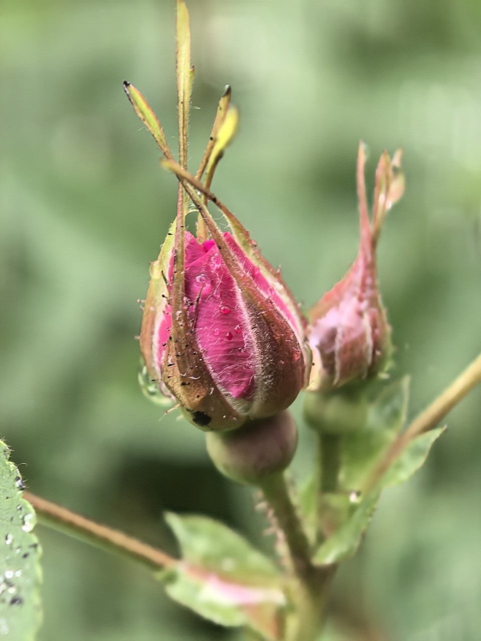 Kamenka в LOOKY — фото 9