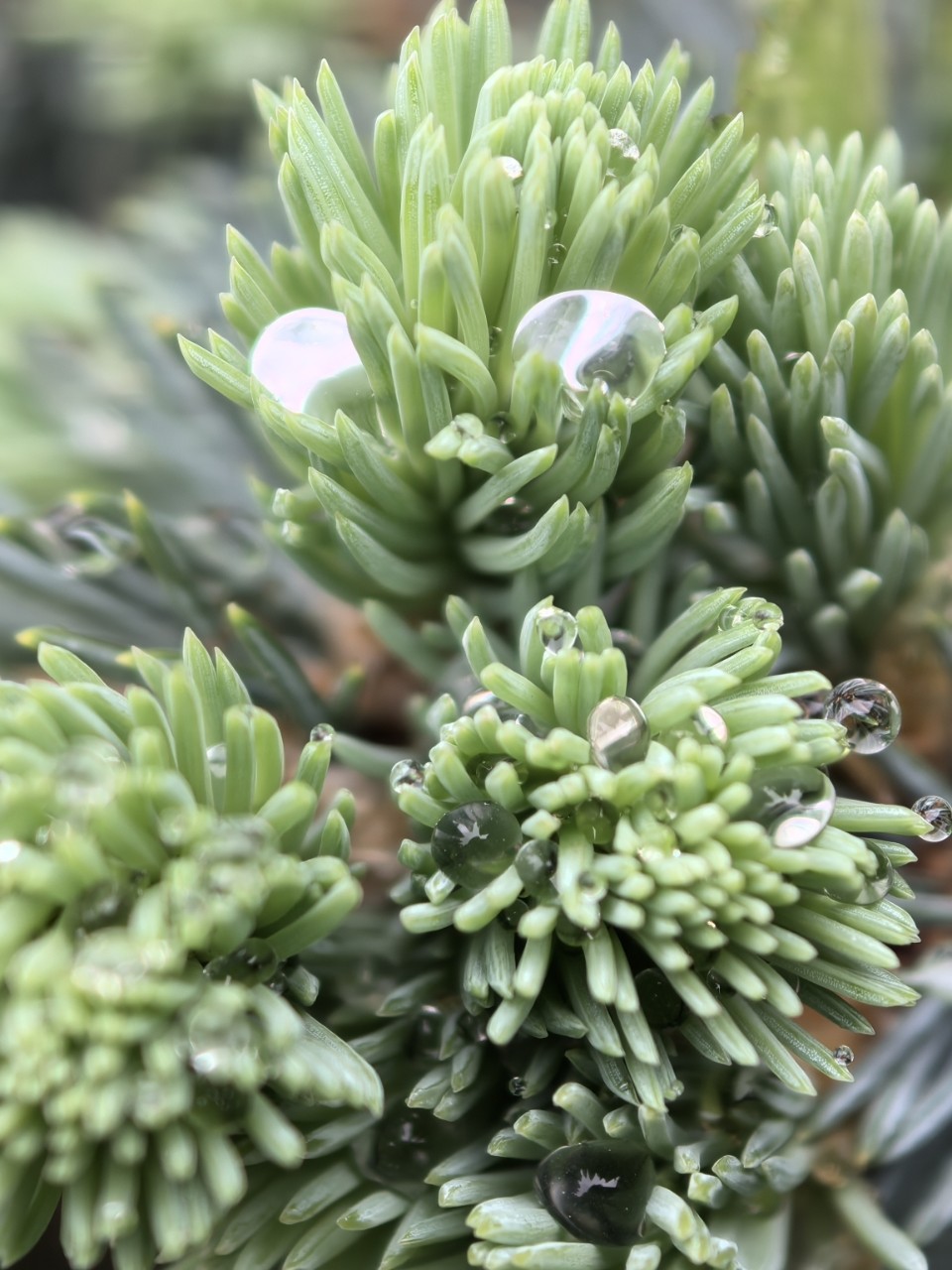 Kamenka в LOOKY — фото 6