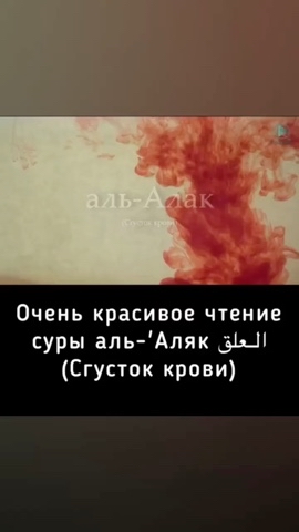 sglaz_porcha в LOOKY. . 