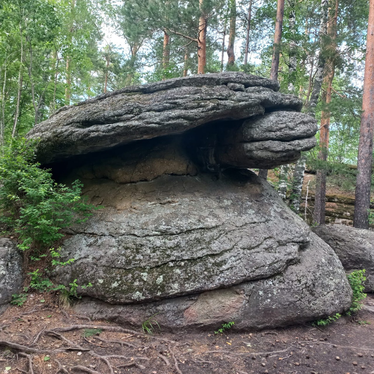 Светлана в LOOKY — Скала Черепаха.
