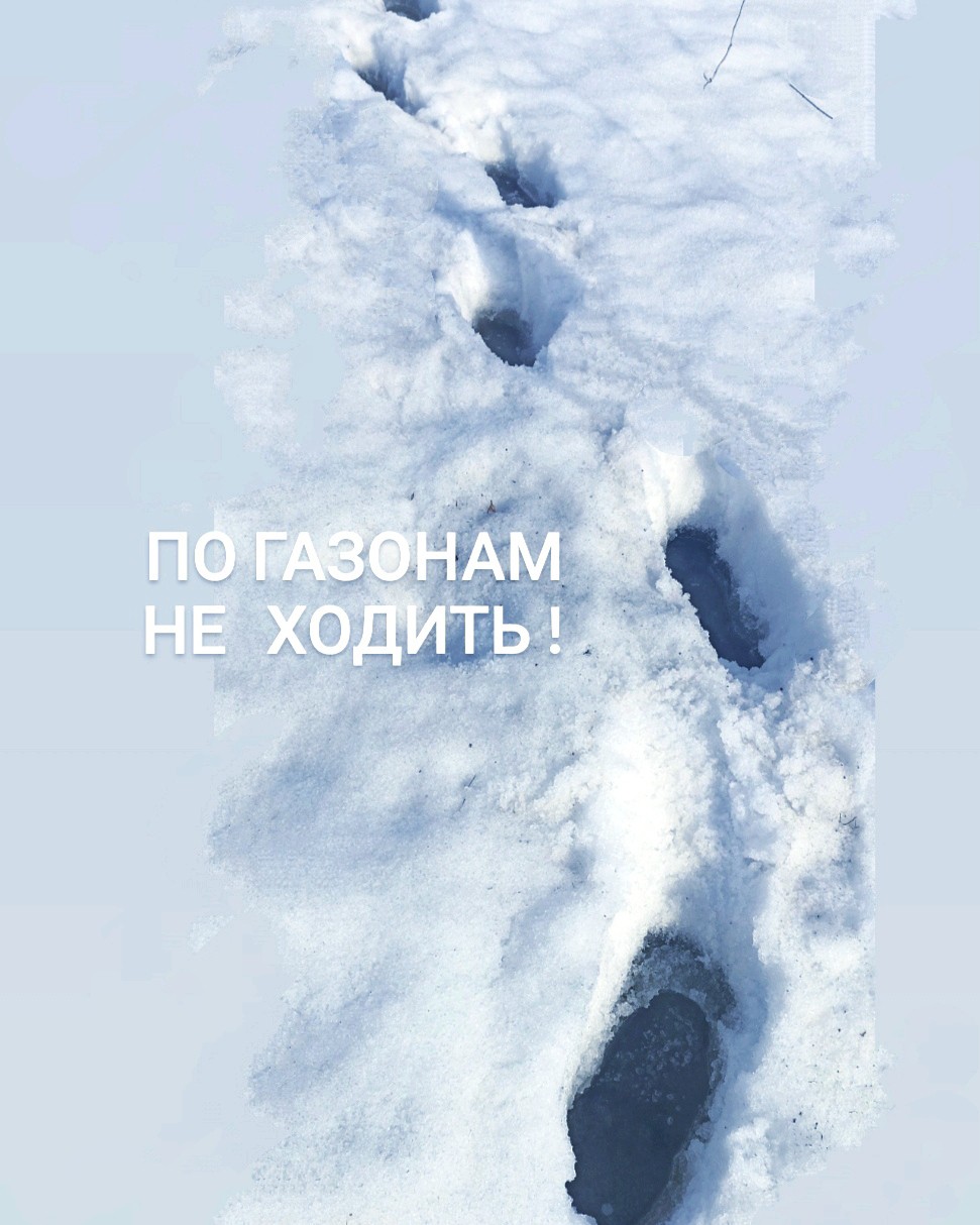 florasad_vera в LOOKY — Уход за газоном начинается с зимы
Если вам  приходится чисти