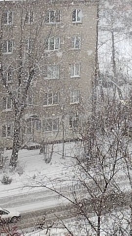 Галина в LOOKY. #снег,#метель. А у нас сегодня вот ...
