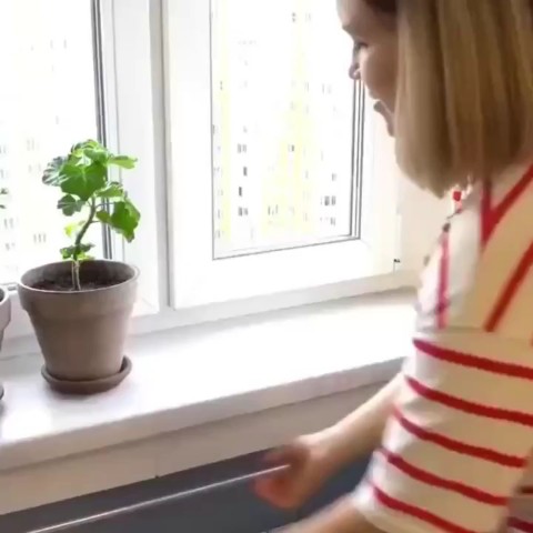 oknafolkon.ru в LOOKY