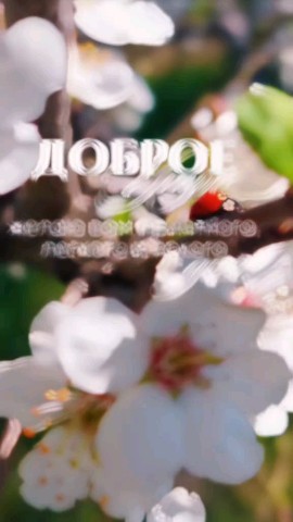 Koko_Sha в LOOKY. . 🩵🩵🩵...
...Быть сч...