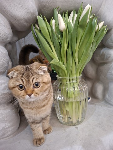 Аня__Looky в LOOKY. . Девчонки!Поздравляю ...