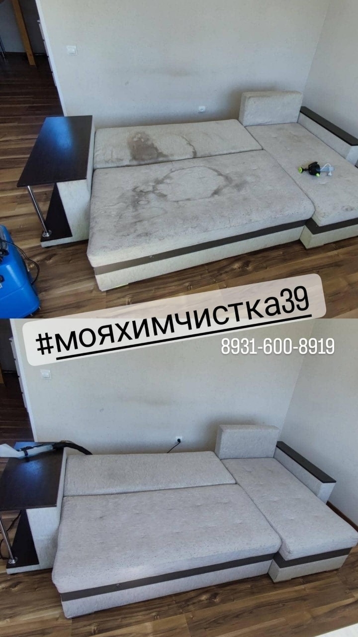 himchistka_v_kaliningrade в LOOKY — Химчистка мягкой мебели в Калининграде🤗 🌱🍀🍃✨ с заботой о