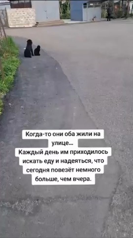 Лев Пудкевич в LOOKY — публикация