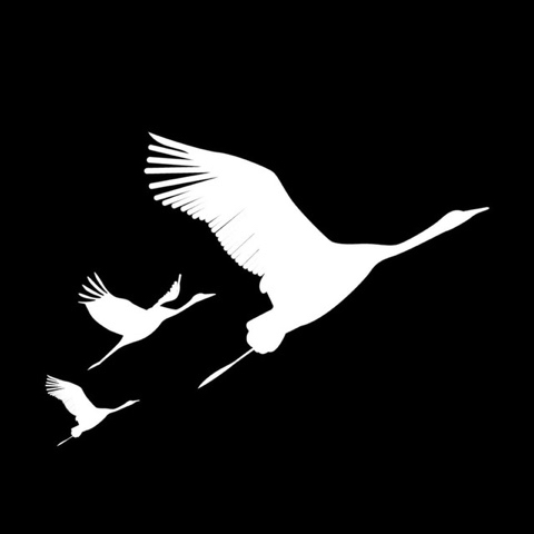 mistervasilevsky в LOOKY. . 