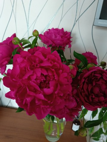Looky_1681885267533 в LOOKY. #Красота,#рядом,#Какие. #Красота#рядом#Какие...