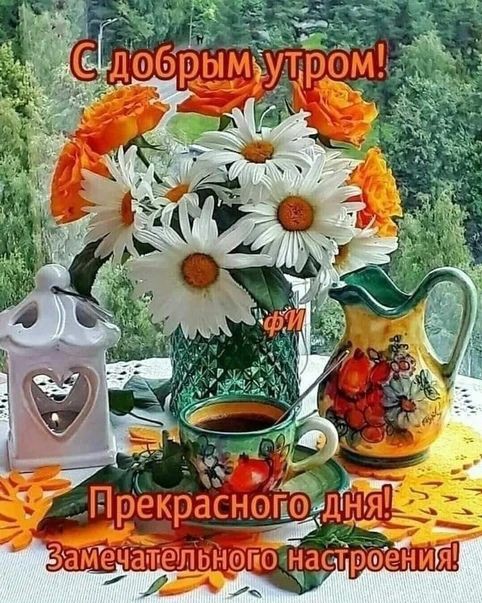 Сириус в LOOKY — публикация