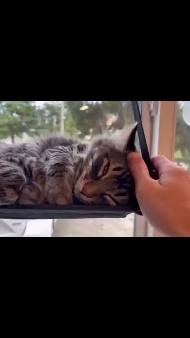 fuuny в LOOKY. . Их двое