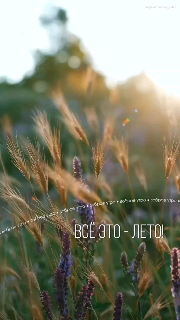 Svet_ya_ в LOOKY — ☀️19 ИЮЛЯ, ВОСКРЕСЕНЬЕ: ДЕНЬ СОЛНЦА И ЛИЧНОЙ СИЛЫ🌸

Приветс