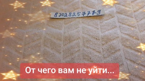 svetlanazaryanova1 в LOOKY — публикация