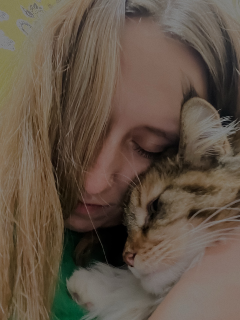 Любанька в LOOKY — История одного кошачьего обаяния, перед которым никто не уст