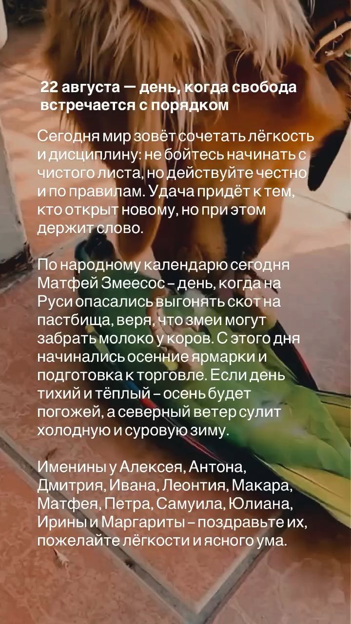 valkarat в LOOKY. . Суббота, котики!
Отд...