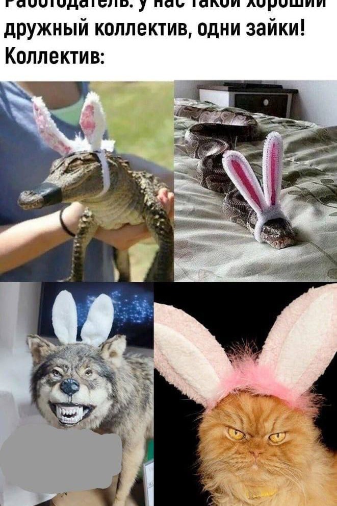  в LOOKY — публикация