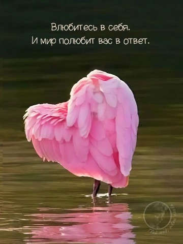 ludmila_medvedeva_9 в LOOKY. #луксик. #луксик