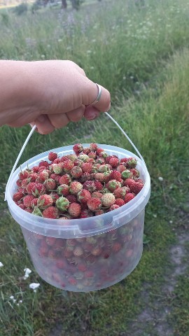 Евгения in LOOKY. #Вкусняшка. #Вкусняшка