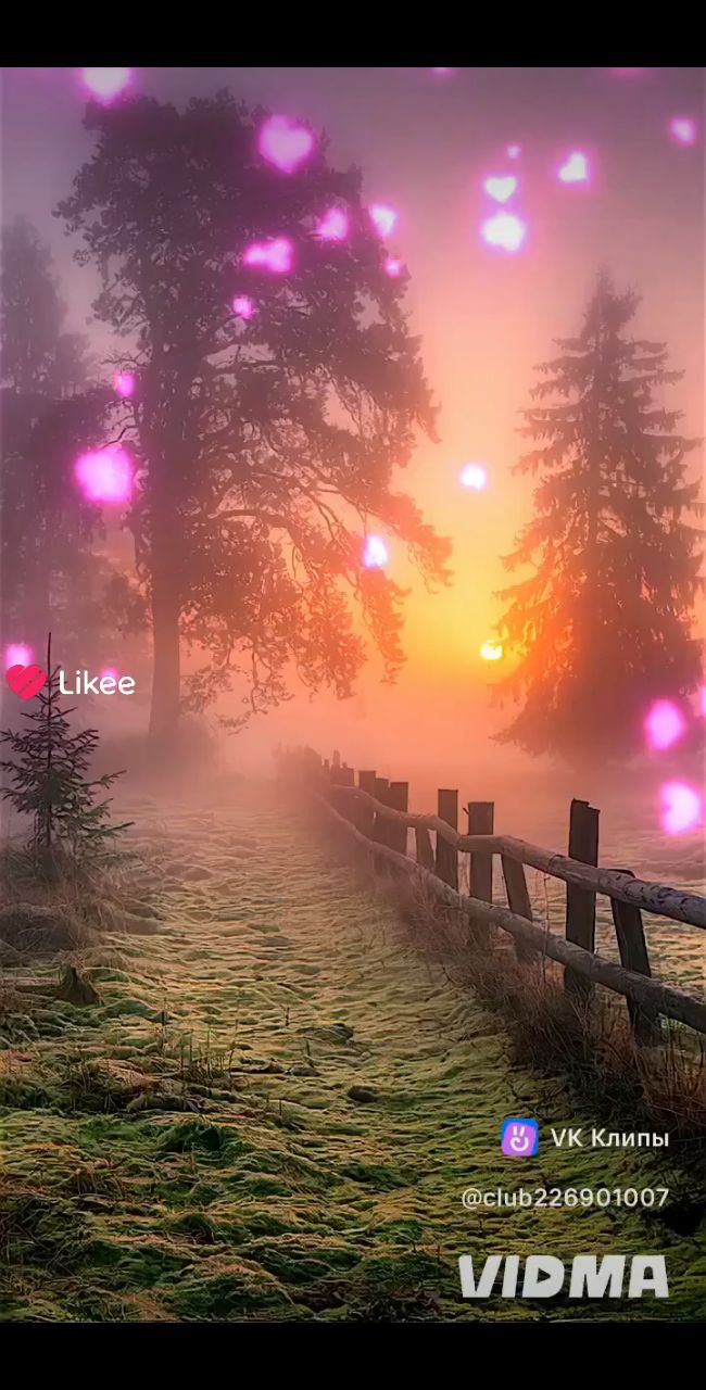 Looky_1719732965049 в LOOKY. . 