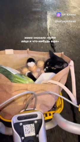 Senya в LOOKY — #Нужное [#взял ](взял)