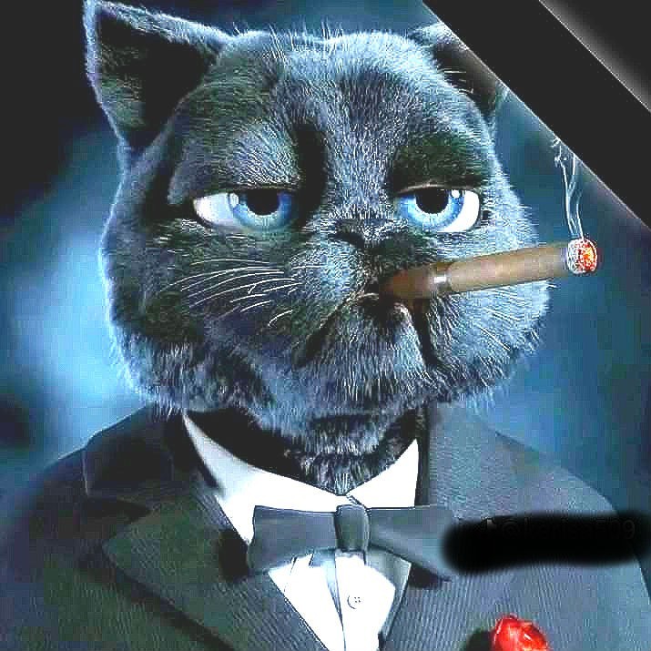 Looky_1693286043870 в LOOKY — #Cat