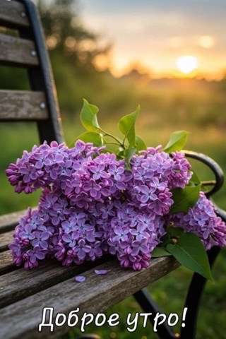 Looky_174671900592932 в LOOKY. . Будьте добры к утру ...