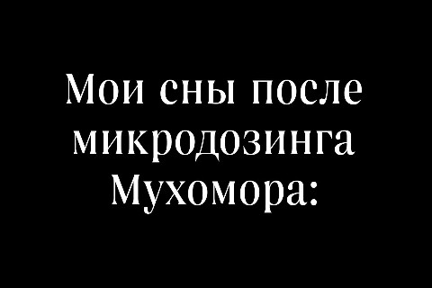 evgentaleks в LOOKY. #прикол,#смешно,#микродозинг,#мухомор,#красныймухомор,#грибы. #прикол #смешно #мик...
