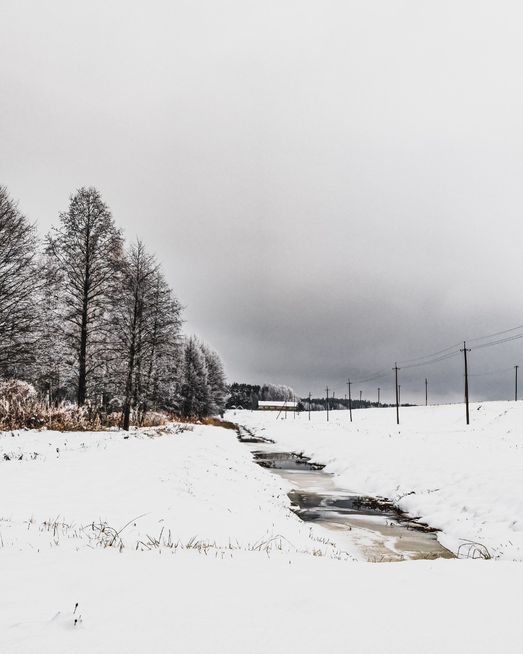 Зима


[#photo](photo) [#photography](photography) #photoonphone [#winter](winter) [#nature](nature) [#naturephotography](naturephotography) 