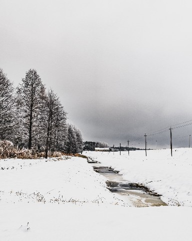 Mihnovets в LOOKY. #photoonphone. Зима


[#photo](phot...