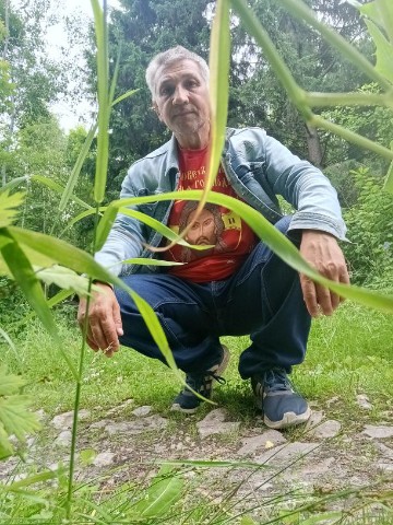 Looky_1668162588782 в LOOKY. . Я решил вернуться