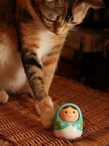Ymenyalapki в LOOKY. . [#деньроссии ](деньр...