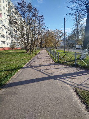 Maxsyn1455 в LOOKY. . 