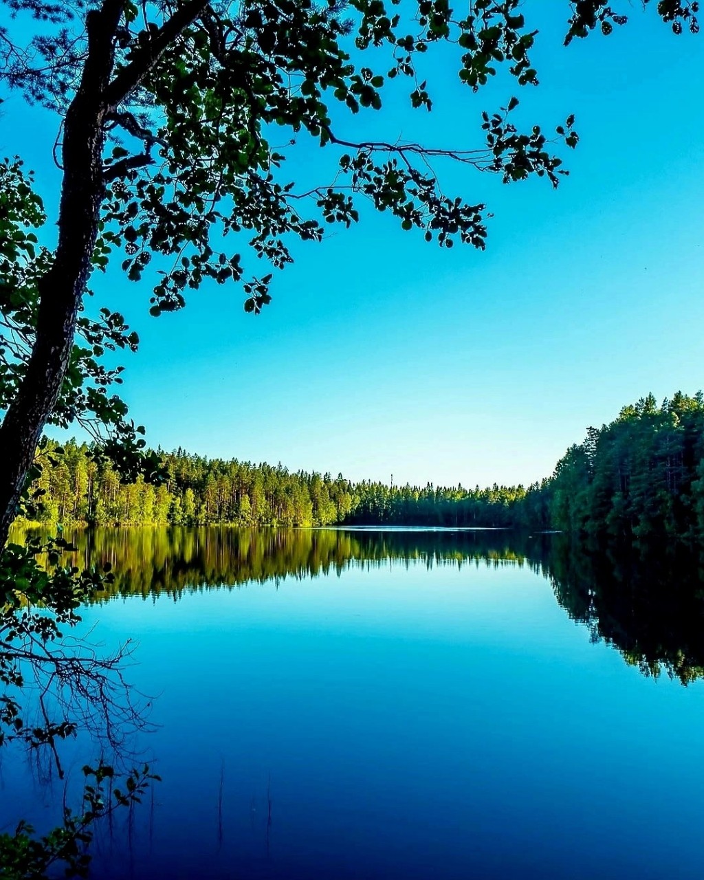 Looky_Lapa_Koroleva в LOOKY — публикация