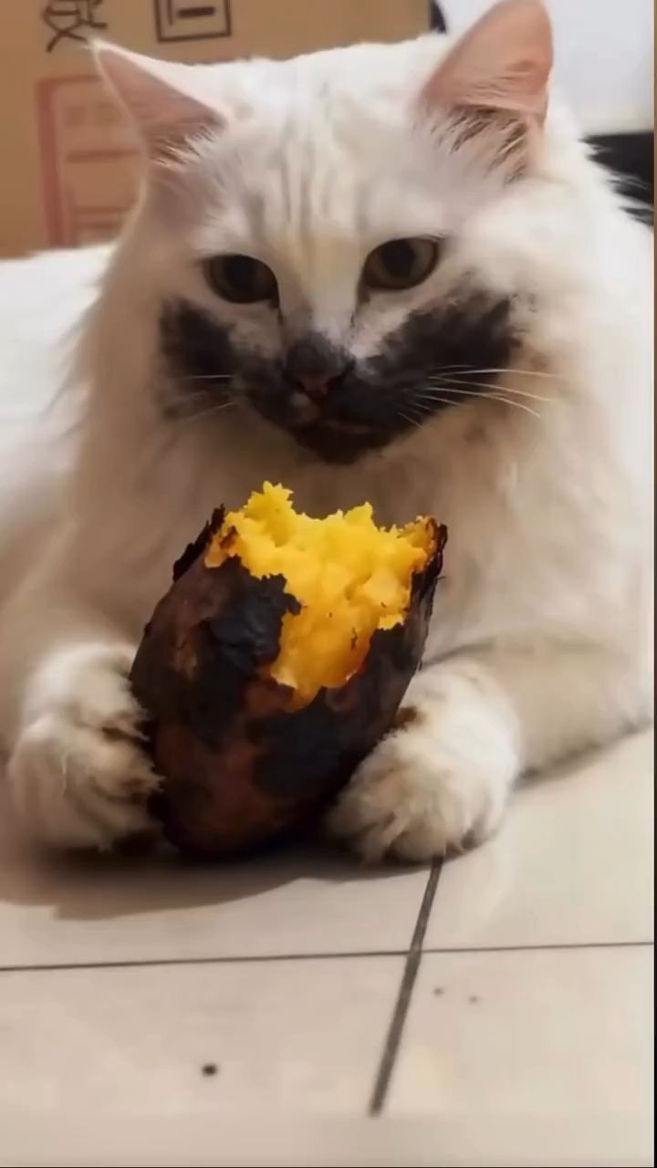 Александр в LOOKY. . 