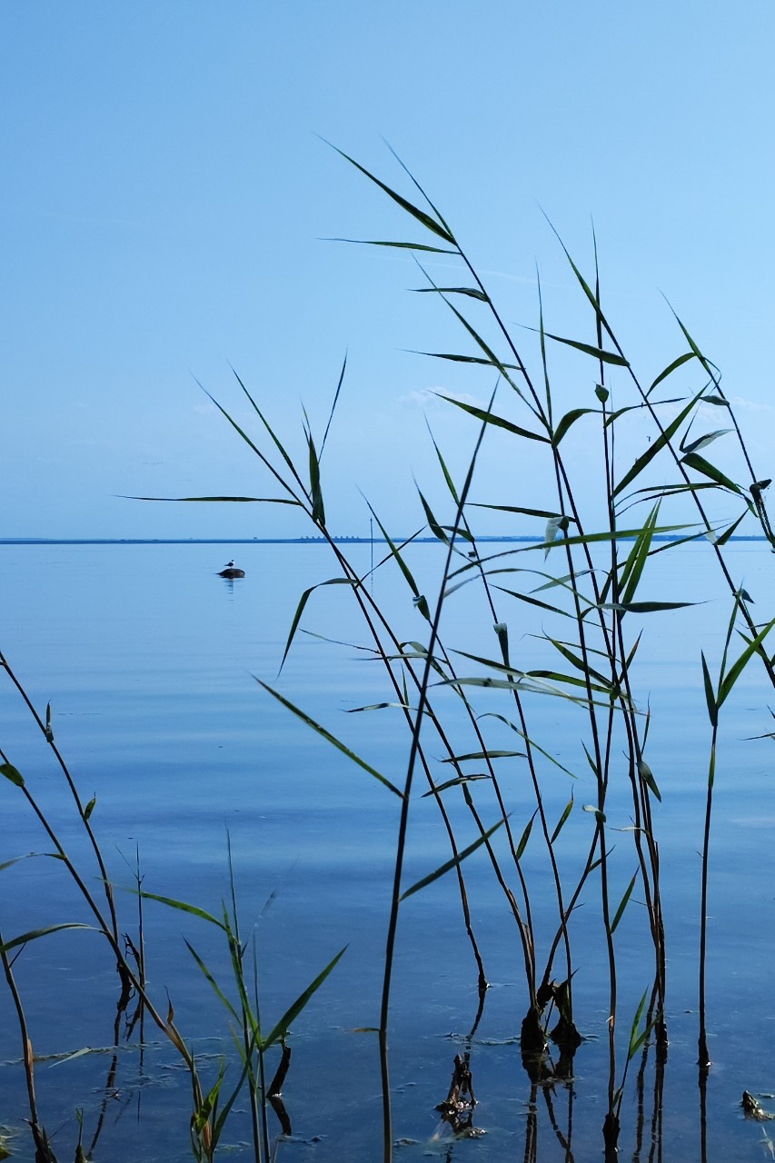 #летнийвечер #мореинебо [#спокойствие ](спокойствие)[#умиротворение ](умиротворение)#синева