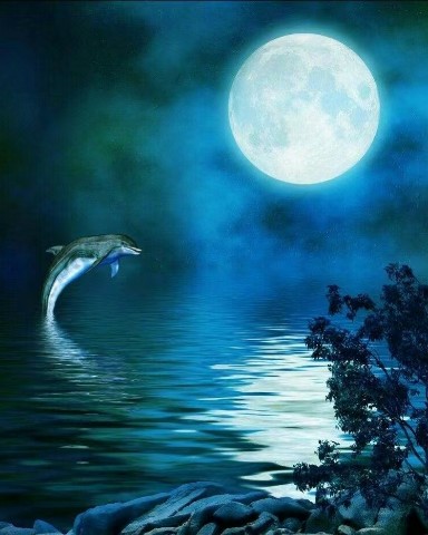Looky_1700991869431 в LOOKY. . 