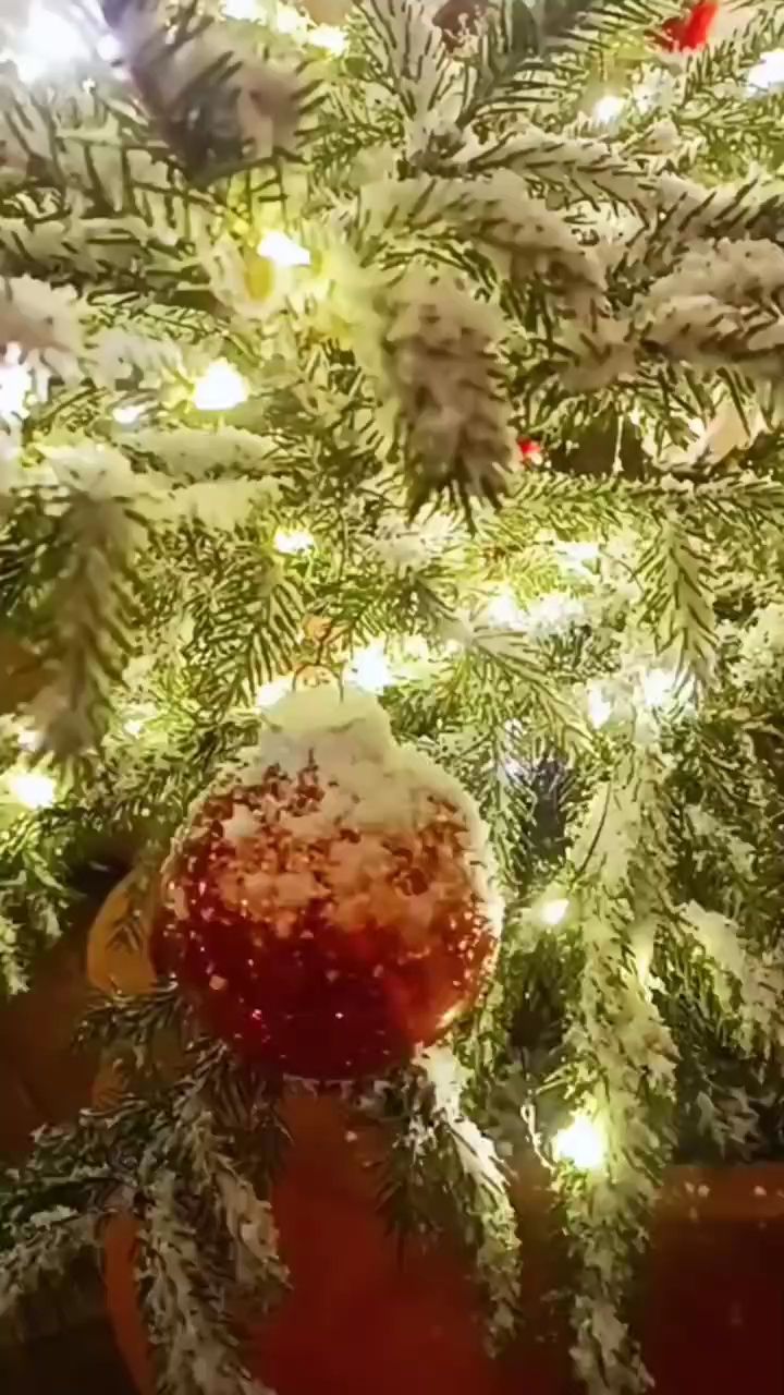 Looky_1717415837679 в LOOKY. #самыйновогоднийгород,#зеленоградск,#2025. 🎄❄🥂 #самыйновогодн...