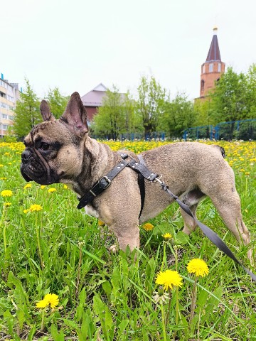 shurnovatatiana в LOOKY. . 