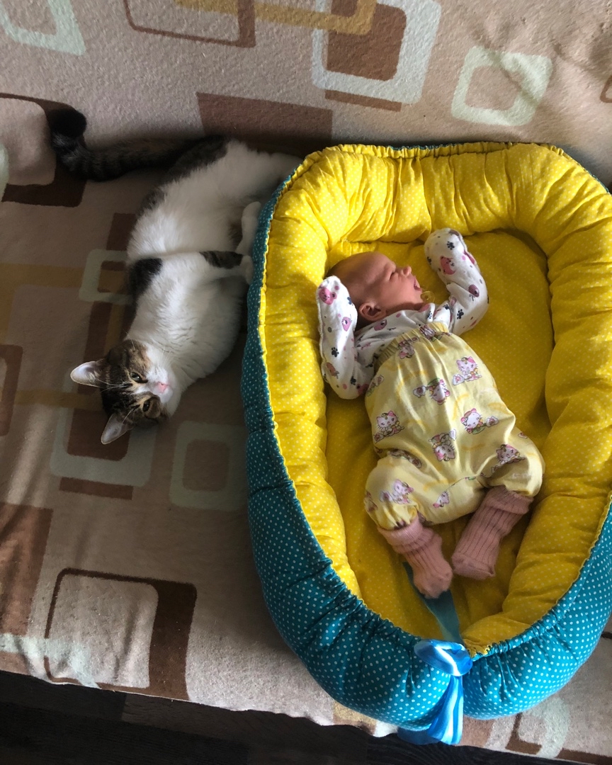 Много у меня умений разных, а талант шитьё. 
Обнаружила я его случайно, когда была беременна Василисой. Нашила разных штучек-приколючек (кокон для малявки 2 шт, наволочки на декоративные подушки, наволочки на обычные подушки, конверт-одеяло на выписку) . 
Мне нравится этим заниматься, но развивать этот талант не хочу, пусть остаётся на таком уровне. 


[#LOOKY_таланты](LOOKY_таланты) [#талант](талант) [#волжский](волжский) [#LOOKY_топ](LOOKY_топ) 