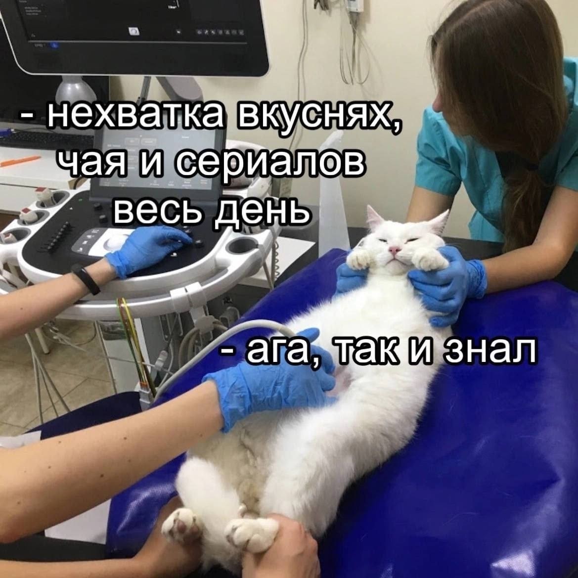 Дина