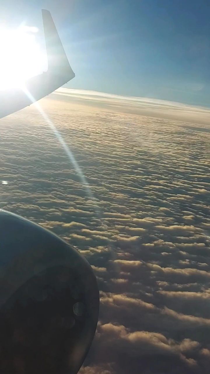 Grinya_Travel в LOOKY — публикация