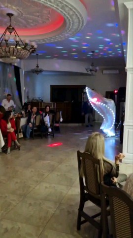 polinka_bellydancer в LOOKY. . Светодиодное новогод...