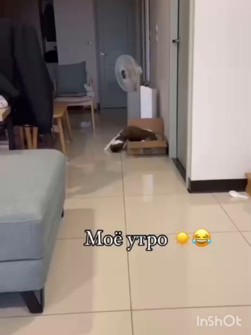 Sekret_Natali в LOOKY. . 22 марта 2026 г. Моё...