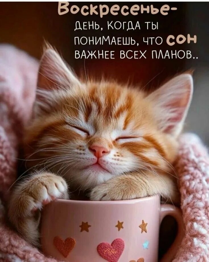 abatosova in LOOKY. . Пускай воскресенье п...