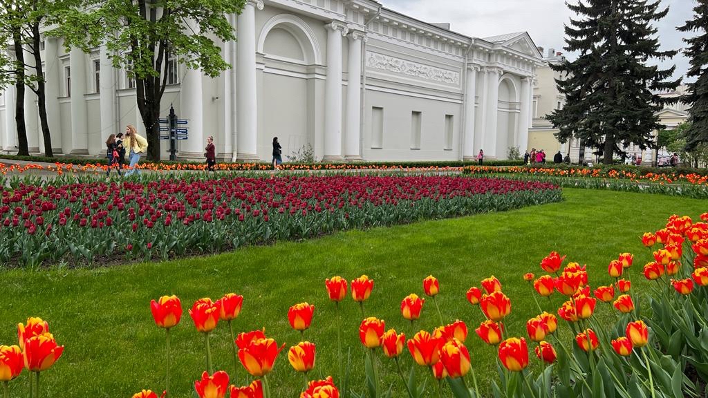 onedaytripspb