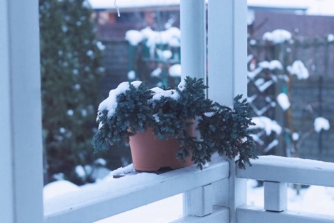 Igor_39 в LOOKY. . 