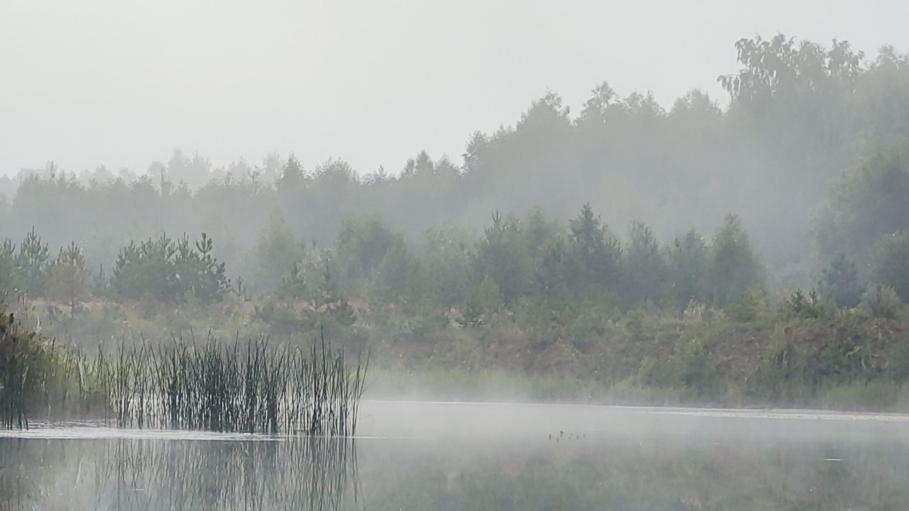 Kamenka в LOOKY — Туманное утро

#деревня
[#утро ](утро)
#туман