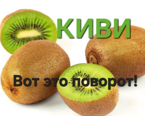 sevtata в LOOKY. #киви,#еда,#здоровье. Журналист и врач Мал...