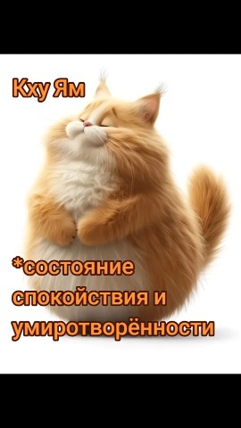 Ledlu в LOOKY. . Настроение просто та...